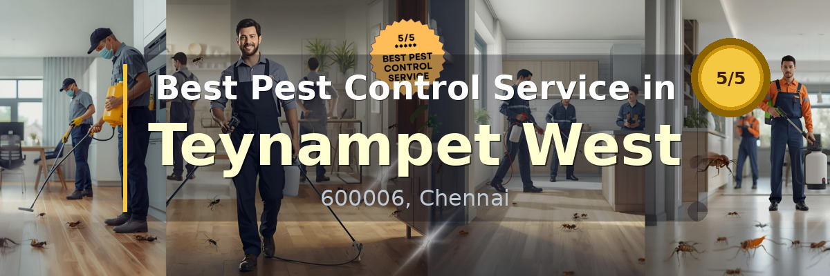 Pest Control Service in Teynampet West Chennai - Vijay Pest Control