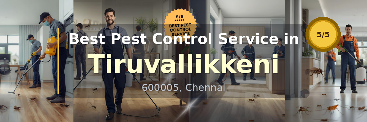 Pest Control Service in Tiruvallikkeni Chennai - Vijay Pest Control