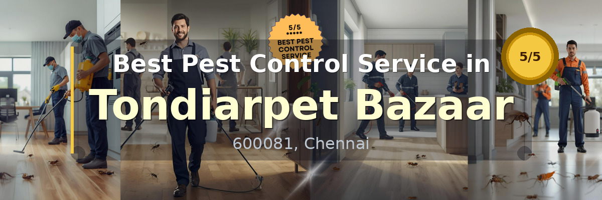 Pest Control Service in Tondiarpet Bazaar Chennai - Vijay Pest Control