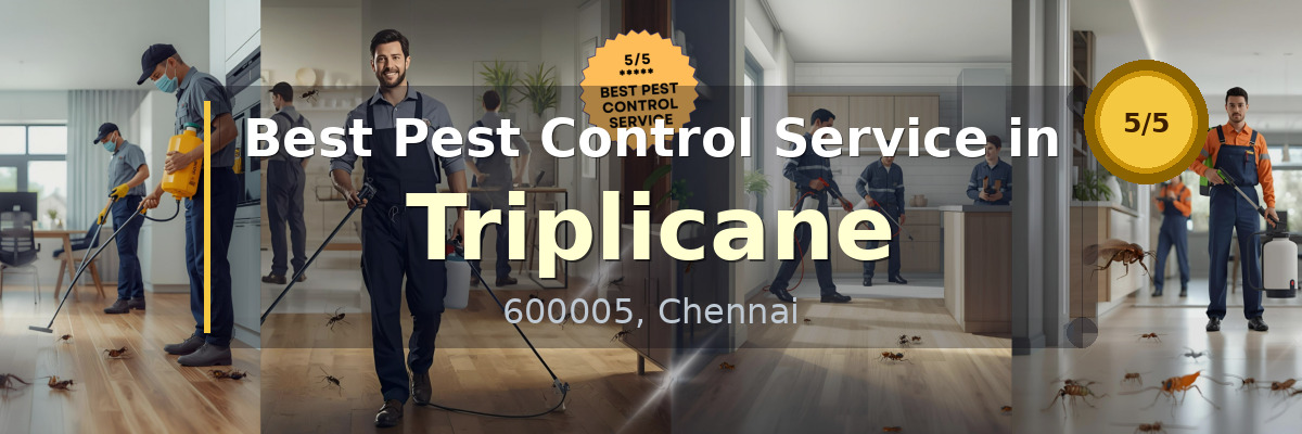 Pest Control Service in Triplicane Chennai - Vijay Pest Control