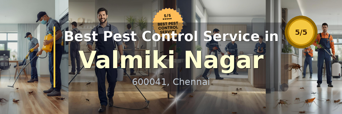 Pest Control Service in Valmiki Nagar Chennai - Vijay Pest Control