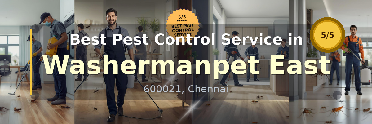 Pest Control Service in Washermanpet East Chennai - Vijay Pest Control